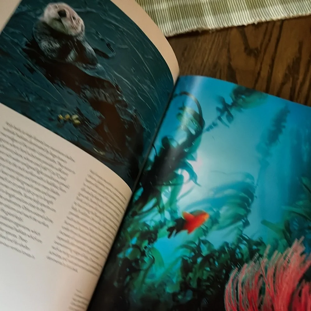 Hidden depths atlas of the oceans hardcover coffee table book 2007